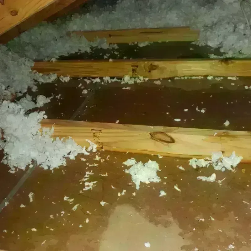 Attic Water Damage in Hamilton Square, NJ